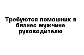 Требуются помошник в бизнес мужчине руководителю